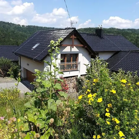 Gorski Dom Dla 30 Osob Z Sauna Oraz Sala Do Integracji 펜션 Kocierz Rychwaldzki